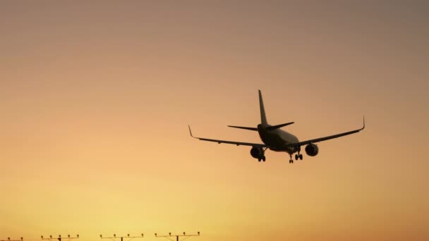 Repülőgép közeledik és leszáll kora reggel Los Angelesben, Kaliforniában - Felvétel, videó