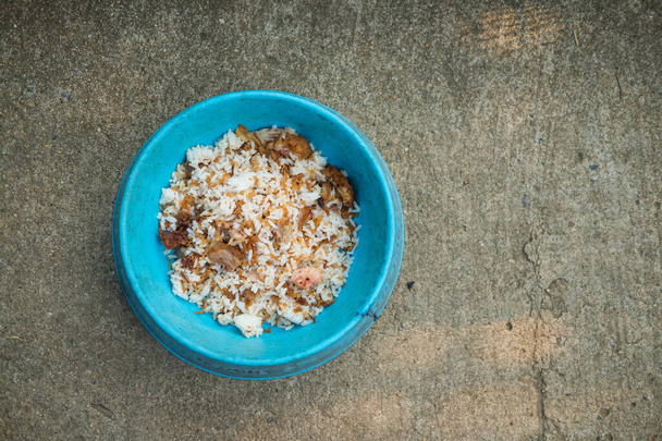 Thai homemade feed in blue bowl for for dog or cat - Foto, Imagem
