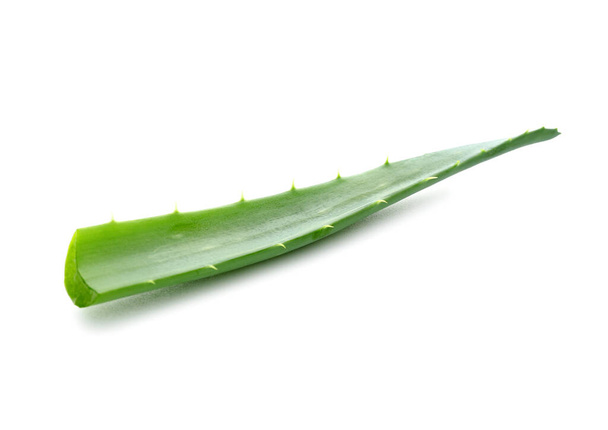 Fresh aloe vera plant leaf on white background - Фото, изображение