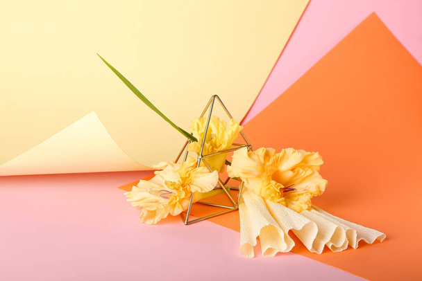 Composition avec de belles fleurs de gladiole sur fond de couleur - Photo, image