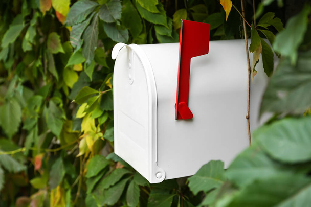 Λευκό vintage γραμματοκιβώτιο μεταξύ πράσινα φύλλα σε εξωτερικούς χώρους - Φωτογραφία, εικόνα