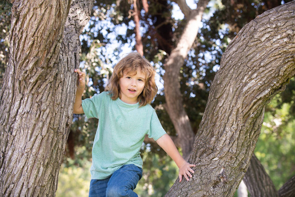 若い子ブロンドの少年木に登る。庭で遊んでいる幸せな子供が木に登っています。子供たちは田舎の自然が好きだ. - 写真・画像