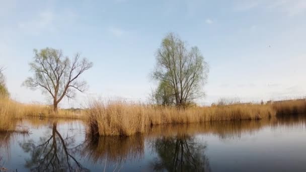 Timelapse of moving clouds. Fast-paced footage of clouds over a lake in northern Europe. Reeds on the lake. Panoramic timelapse of a landscape in motion. Spring weather. Marshy area. - Felvétel, videó