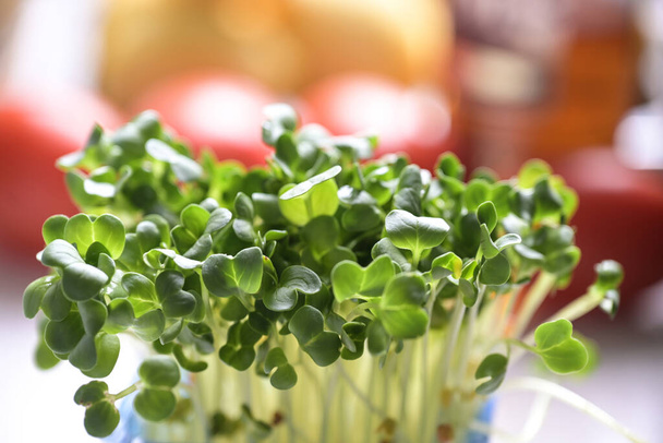 Radish sprouts as a fresh and healthy ingredient for various dishes, close up shot, copy space, selected focus, very narrow depth of field - Foto, Imagen