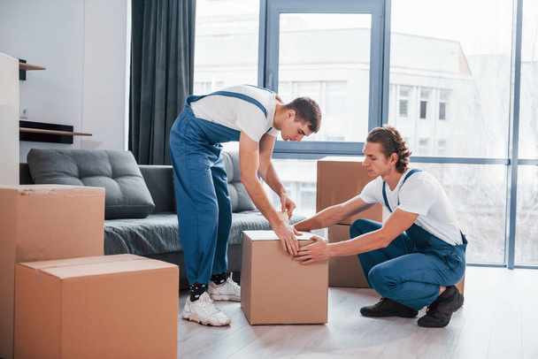 Packaging the box. Two young movers in blue uniform working indoors in the room. - Fotografie, Obrázek