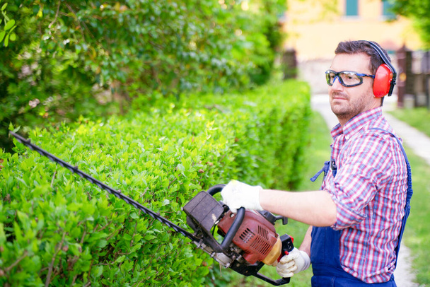 Un uomo che lavora in giardino e modellare cespuglio utilizzando tagliasiepi - Foto, immagini