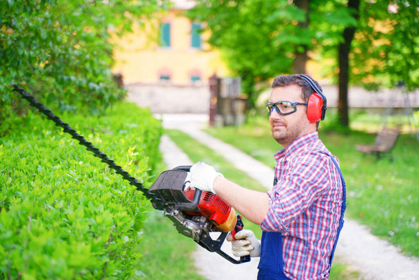 Een man die in de tuin werkt en struiken vormt met een heggenschaar - Foto, afbeelding