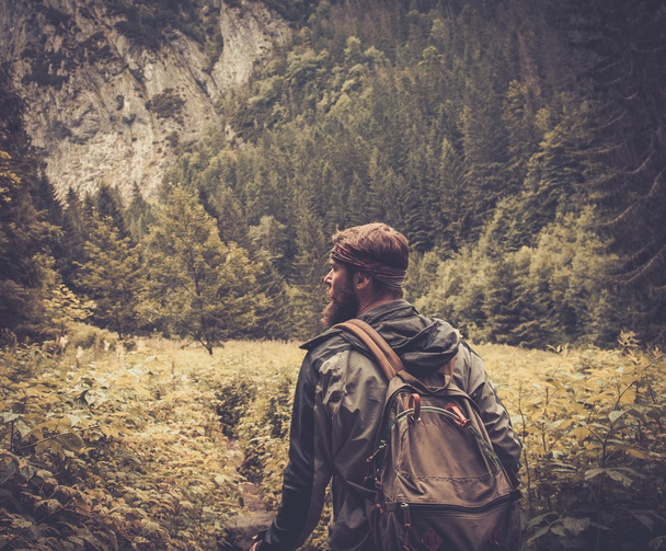 Homme avec équipement de randonnée marchant dans la forêt de montagne
 - Photo, image