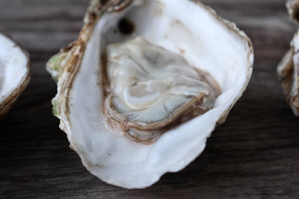 Verse oester en schelpdieren op houtondergrond - Foto, afbeelding