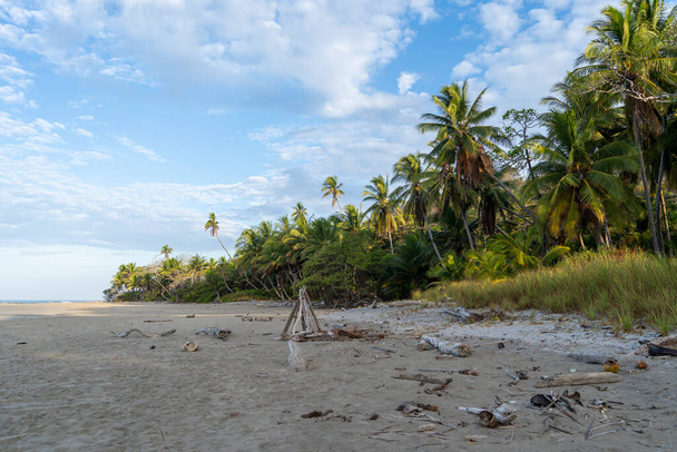 Пустой пляж в утреннем освещении Playa Herma в Санта-Терсе, Коста-Рика. - Фото, изображение