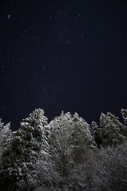 Copy space starry sky on a cloudless winter night. Snowy forest with a amazing galaxy sky - Photo, Image
