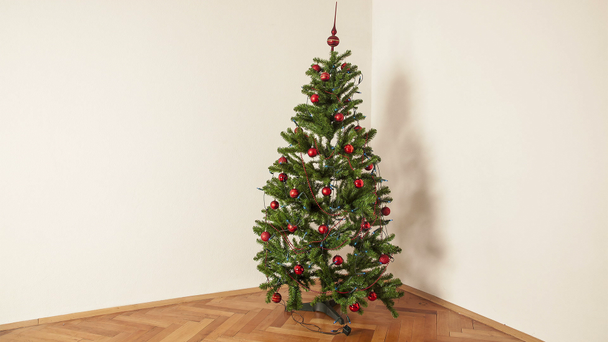 Timelapse van het versieren van een kerstboom - Video