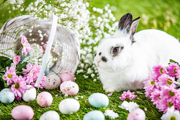 Пасхальный кролик и раскрашенные яйца в корзину на траве. Тема праздника - Фото, изображение