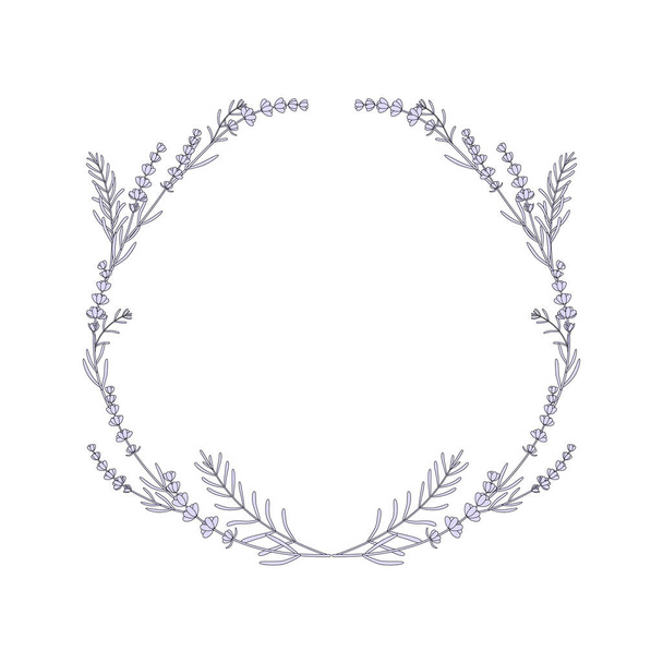 thin line wreath of lavender on white background. concept of wildflower decorations for simple design and art linear element for holiday template or wedding postcard - Vector, Imagen