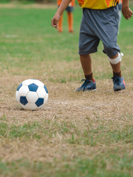 サッカーの子供たちのトレーニングクラス。幼稚園と小学校の子供たちが野球場でサッカーをしている。スポーツ草のピッチでサッカーを実行し、キック男の子のグループ。ボールに焦点を当てる. - 写真・画像
