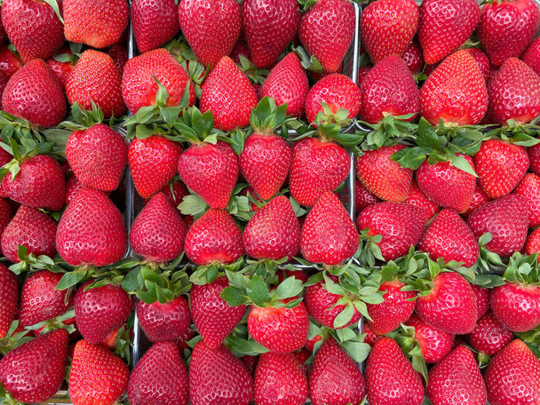 Red berries of ripe strawberries - Foto, immagini