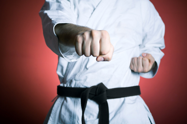 Karate-Punsch - Foto, Bild