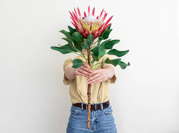 A young woman with protea flower on a white background. - Foto, Imagen