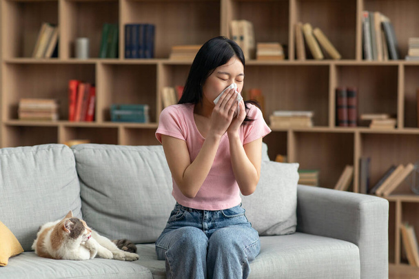 Pet allergy concept. Young korean lady sneezing and holding paper tissue, suffering from runny nose caused by her cat - Fotoğraf, Görsel