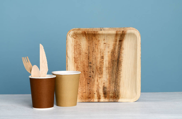 Paper, wooden and palm leaves eco friendly tableware - 写真・画像
