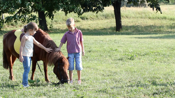 小さな女の子とポニー馬と少年 - 映像、動画