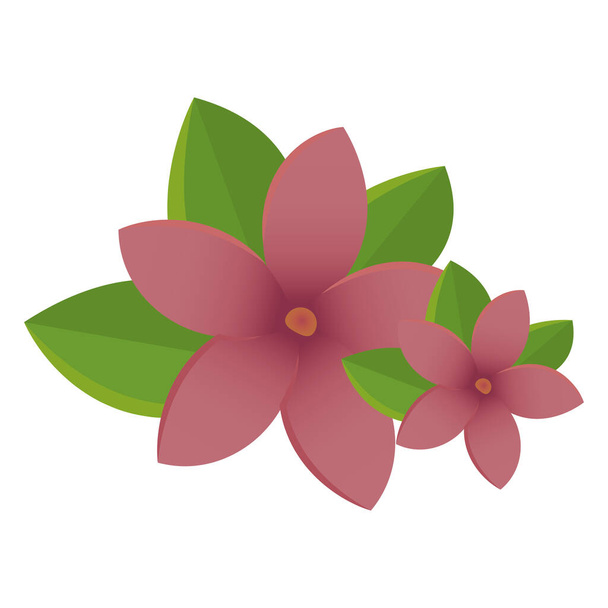 Isolated pink flowers spa vector illustration - Vetor, Imagem