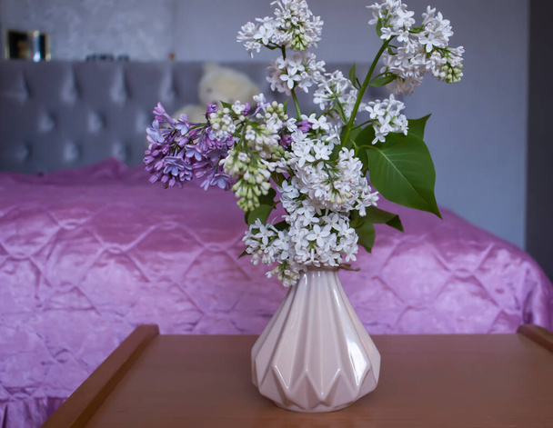 Beautiful lilac flower at home - 写真・画像