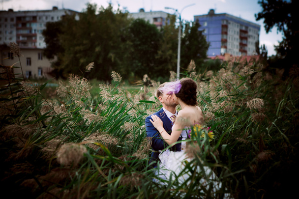 Jovem casal nupcial atraente de mãos dadas ao ar livre ao lado de árvore por lago
 - Foto, Imagem