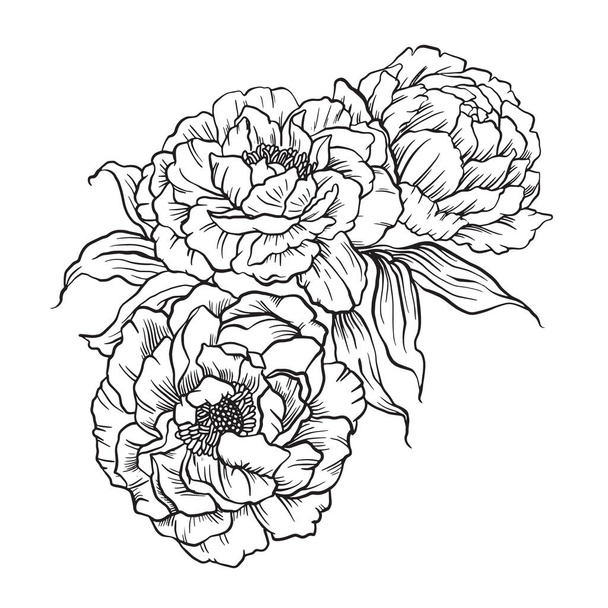 Лінія Деталі Квіти, Квітковий ескіз Квітка ілюстрація
 - Вектор, зображення