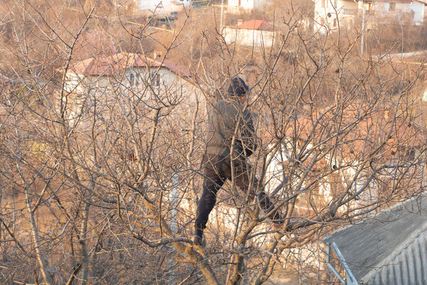 Чоловік на дереві ранньої весни
 - Фото, зображення