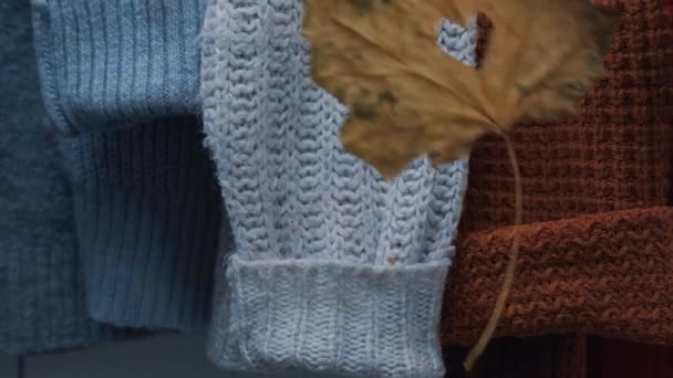 Autumn concept. Female hand put maple leaf in heart shape on cozy warm sweater. Knitted woolen and mohair sweaters. Hygge style - Footage, Video
