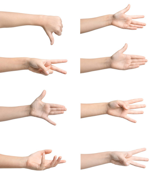 Set of many children's hands showing different gestures on white background - 写真・画像