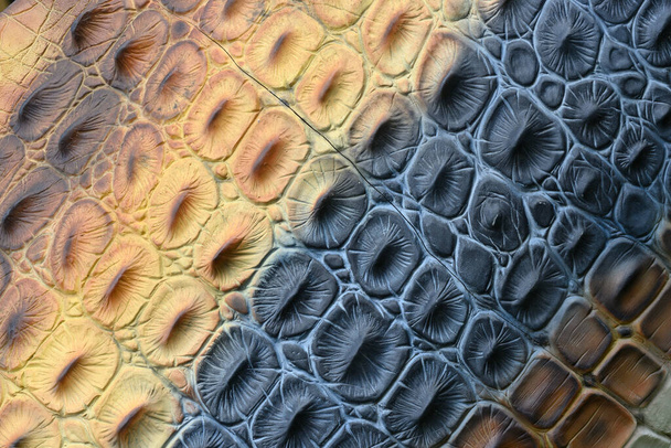 Reconstruction of detail of flaked skin of prehistoric dinosaur - Fotoğraf, Görsel