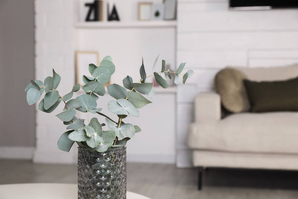 Vase with beautiful eucalyptus branches in living room. Space for text - Valokuva, kuva
