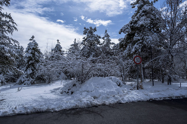 besneeuwde asfaltweg en straat in de stad in februari. Snelheidsbegrenzer. Sneeuw en mistig weer. - Foto, afbeelding