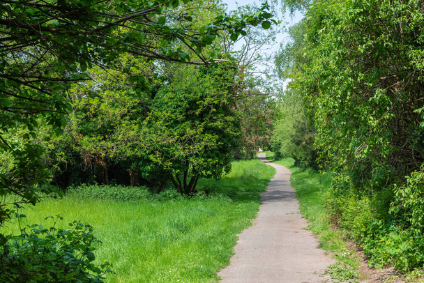 cesta přes zelený krásný městský park na jaře - Fotografie, Obrázek