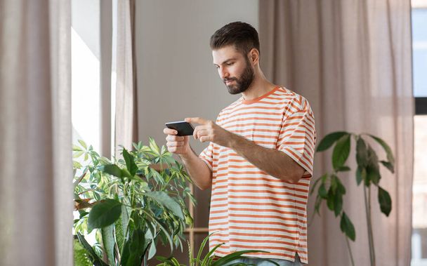 man with smartphone and flowers at home - Photo, image