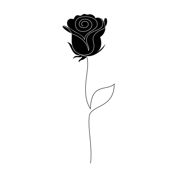 Rose flower on white - Vector, Image