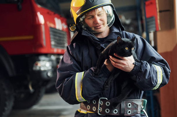 Portrait of firefighter in protective uniform that holds cute little black cat. - 写真・画像