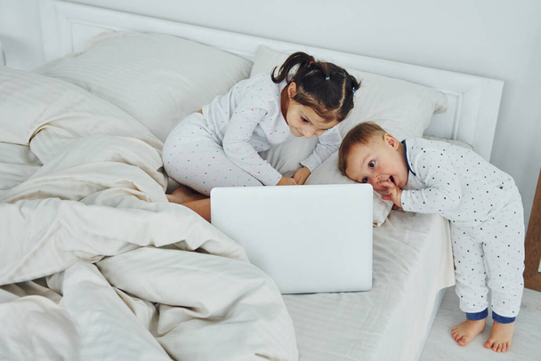 Little sister and brother uses laptop. Interior and design of beautiful modern bedroom at daytime. - Fotó, kép