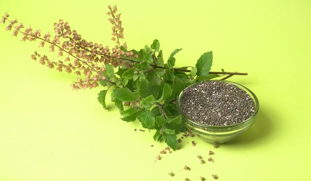 Pile of black seeds with green leafy plant on green background, Indian spices closeup  - Photo, Image