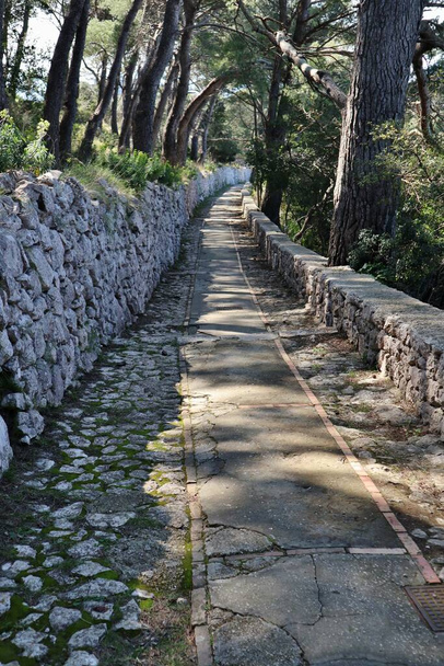 Capri, Campania, Italy - March 13, 2022: Street section of Via Tiberio that connects the archaeological site of Villa Jovis with the village of Capri - Fotoğraf, Görsel
