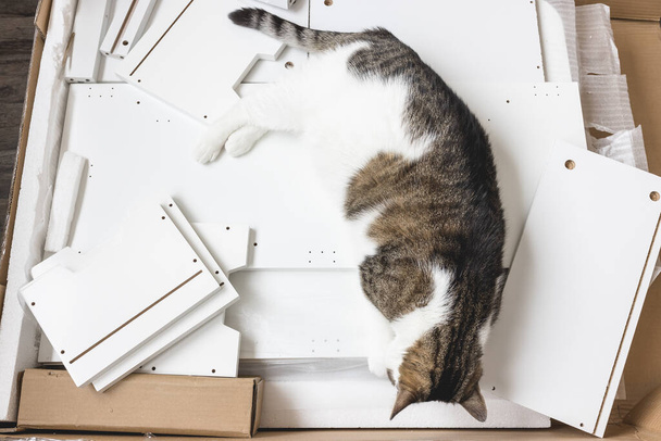 Doboz bútorösszeszerelési alkatrészekkel a padlón és egy macska - Fotó, kép