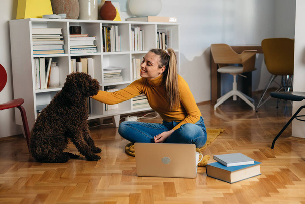 young woman playing with her dog at home - Foto, Bild