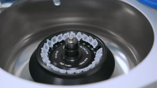 Vrouwelijke laboratoriumtechnicus in rubberen handschoenen vult een centrifuge en sluit de dop.  - Video