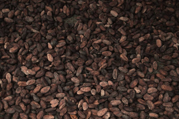 Cocoa industry in Caribbean island of Guadeloupe. Air drying cocoa beans background. - 写真・画像