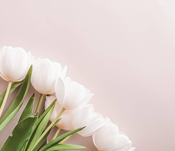 White tulips on beige backdrop, beautiful flowers as flatlay background, nature and holiday concept - Foto, afbeelding
