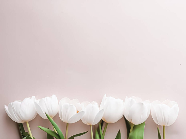 White tulips on beige backdrop, beautiful flowers as flatlay background, nature and holiday concept - Foto, Imagen