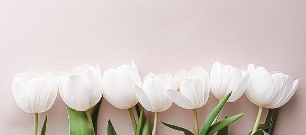 Bej arkaplanda beyaz laleler, düz arkaplan olarak güzel çiçekler, doğa ve tatil konsepti - Fotoğraf, Görsel