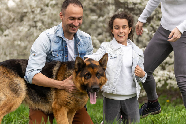 Family with small child and dog outdoors in orchard in spring. - Fotografie, Obrázek